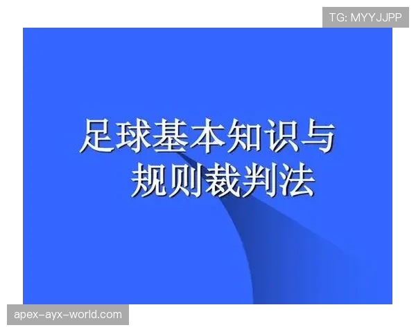 足球体育道德规则：裁判如何保障比赛公平与尊重原则