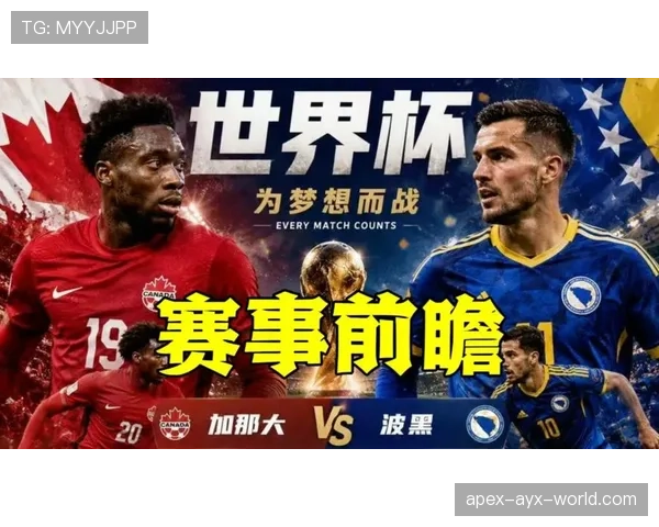 世界杯B组波黑能否成为黑马